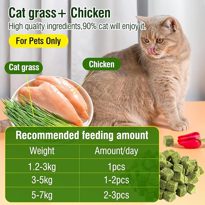 50g Cat Grass Teething Treat, Delicious Cat Grass Teething Snack Edible Cats Chew Toy for Teeth Cleaning and Hairball Removal-Mewly Pet
