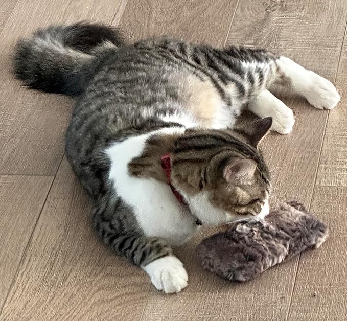 Refillable Kitty Crinkle Furry Catnip Toy-Mewly Pet