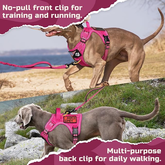 rabbitgoo Tactical Dog Harness Medium Sized Dog, No Pull Military Service Vest with Handle & Molle, Easy Control for Training Walking, Adjustable Reflective Straps, Rose Red, M-Mewly Pet