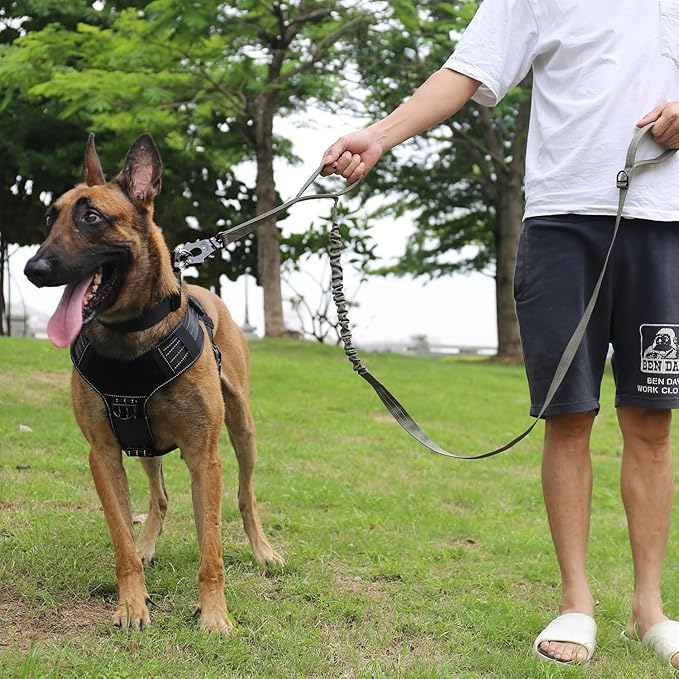 ICEFANG Tactical Dog Leash,K9 Training Walking Bungee Lead with 2 Control Handle,Heavy Duty Quick Release Metal Clasp,for Medium Large Breed (Reflective Green, 6 FT)-Mewly Pet