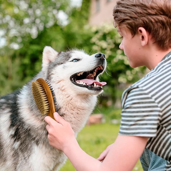 TAKAVU Short Hair Dog & Cat Deshedding Brush - Double Sided Grooming Tool with Silicone Massage & Bristle Sides - Removes Loose Fur & Dirt - Wood Handle-Mewly Pet