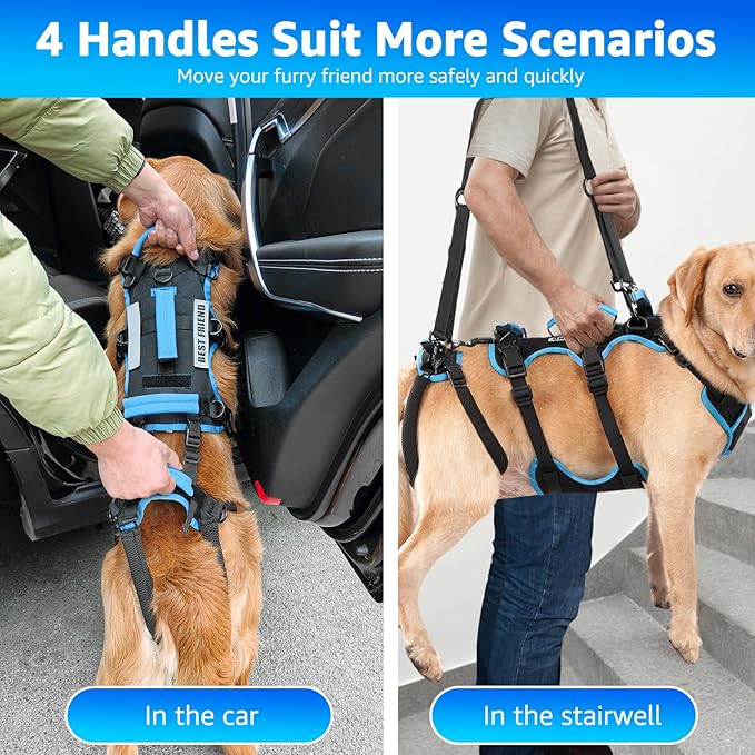 Dog Lift Harness for Medium Male Dogs Friendly, 2 in 1 Detachable Support Harness, Full Body Dog Carrying with 4 Handles for Old/Disabled/Joint Injuries Dogs (Black, Medium)-Mewly Pet