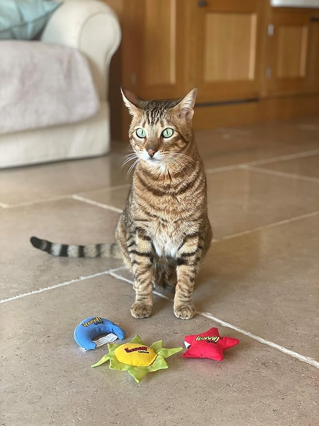 YEOWWW Catnip Cat Toy for Indoor and Outdoor Cats -Premium Quality Strong Catnip Toys for Cats (1x Crinkle Catnip Toy Sun 1 x Moon 1x Star)-Mewly Pet