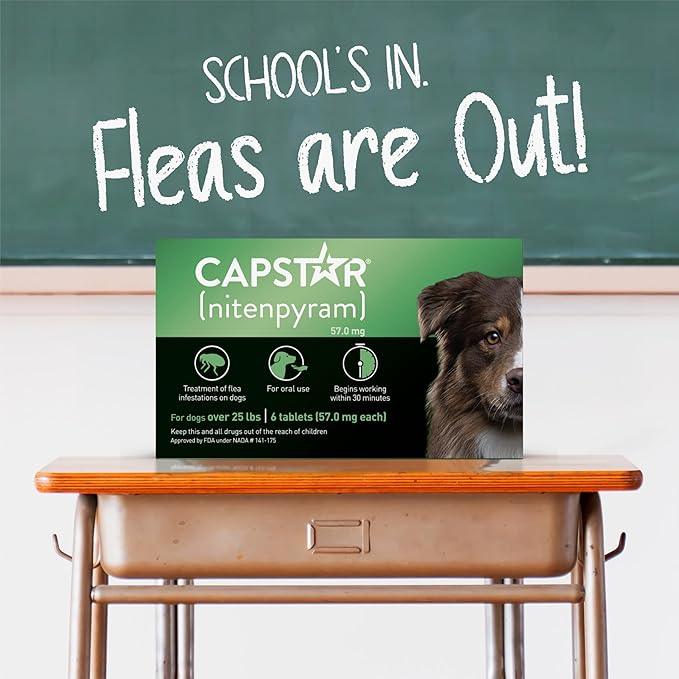 CAPSTAR Oral Flea Treatment for Dogs, Fast Acting Tablets Start Killing Fleas in 30 Minutes, Medium & Large Dogs (Over 25 lbs), 6 Doses-Mewly Pet