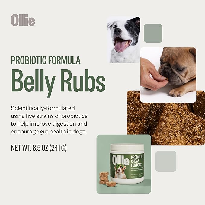 Ollie Belly Rubs, Probiotic Dog Chews, Digestive Health, Natural Ingredients, for Upset Stomach Relief, Appx. 60 Count-Mewly Pet