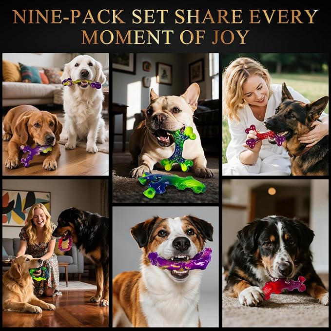 9-Pack Indestructible Dog Toys for Aggressive Chewers, Durable Chew Toys for Large Dogs, Dog Toy for Aggressive Chewer Large Breed, A Super Set for Happiness for All Dogs-Mewly Pet