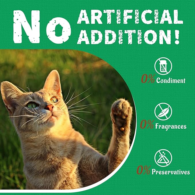 Just Try 13.4 OZ Crunchy Cat Treats Catnip Treats for Cats with Digestive Support, Natural Ingredients Kitten Treats with Real Salmon, Healthy Feline Snacks Training Biscuits Dental Care-Mewly Pet