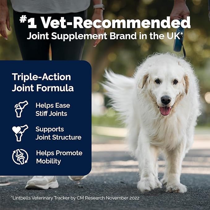 Yumove Hip & Joint Supplement for Dogs - with Glucosamine Chondroitin, Omega 3, Hyaluronic Acid, Green Lipped Mussel & Fish Oil for Dogs - Senior Dog Joint Supplement (240ct Chewable Tablets)-Mewly Pet