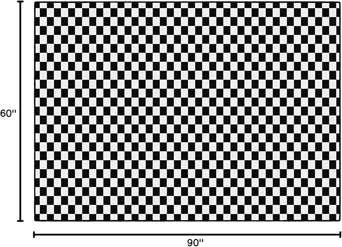 Flagship Carpets Schoolgirl Style Black and White Checkerboard Educational Area Rug for Kids Room Seating Décor, Children's Classroom, Play Carpet for Teaching and Playroom, 5' x 7'6"