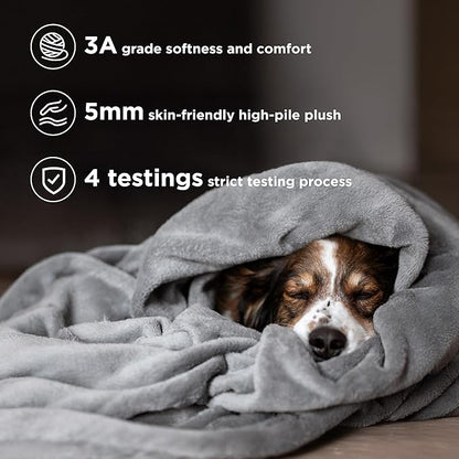 Bedsure GentleSoft Fleece California King Blanket - Lightweight Plush Fuzzy Cozy Soft Large Blankets for Bed, Grey, 102x96 inches