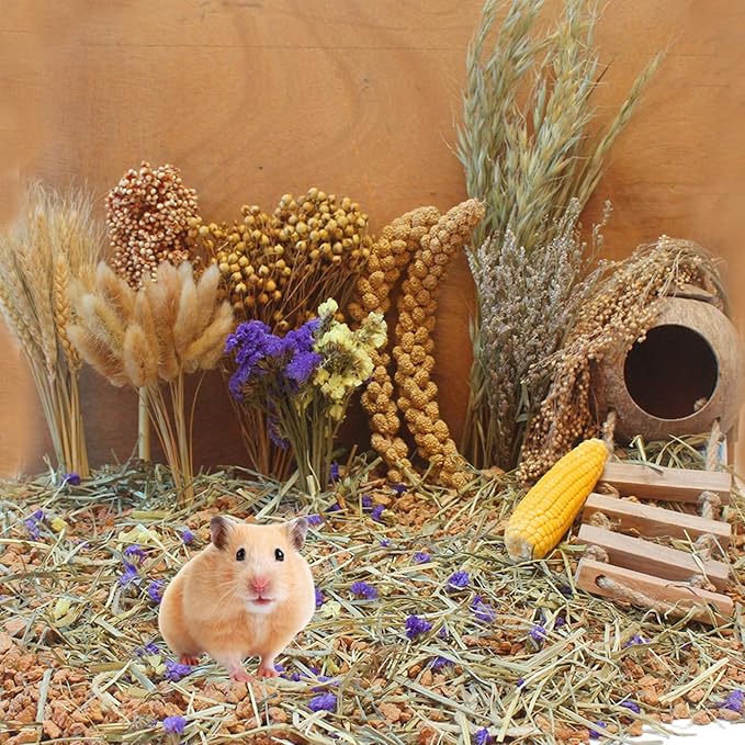 Natural Hamster Bedding - Flowers, Herbs, Sprays, Treat Cereal Grain for Cage Habitat Enclosure Decor - Hamster Chews for Dwarf Syrian Gerbils, Mice, Rat Forage - Pet Accessories-Mewly Pet