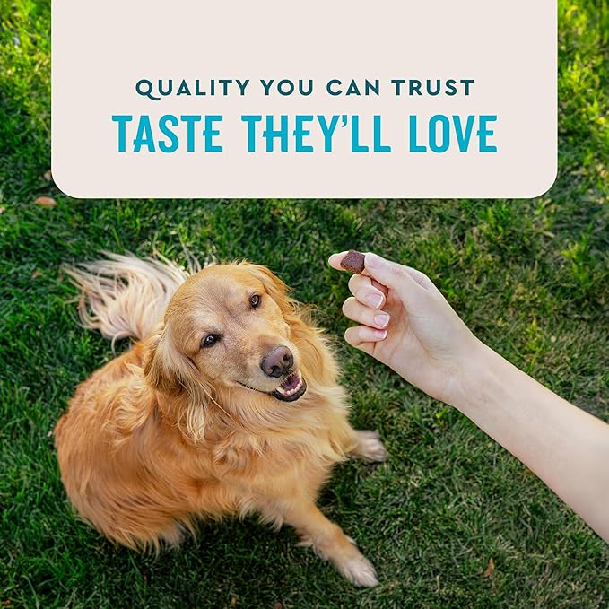 VetIQ Advanced Hip & Joint Chews For Dogs, 60 Count, Chicken Flavored Supplements Made with Glucosamine, Omega 3’s, Chondroitin, MSM & Green Lipped Mussel, Increases Mobility & Maintains Muscles-Mewly Pet