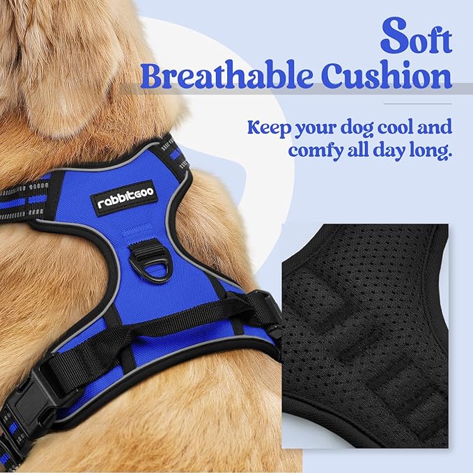 rabbitgoo Dog Harness No Pull with 2 Leash Clips, Adjustable Soft Padded, Reflective Oxford No Choke Pet Vest with Easy Control Handle for Small Dogs, Dazzling Blue, S-Mewly Pet