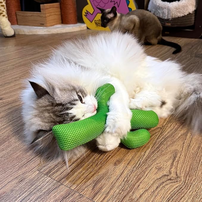 TTcat Catnip Silvervine Matatabi Pillow for Cats & Kittens,Large Cat Cactus Toy Cat Kicker Toy Chew Toy for Indoor Cats.-Mewly Pet