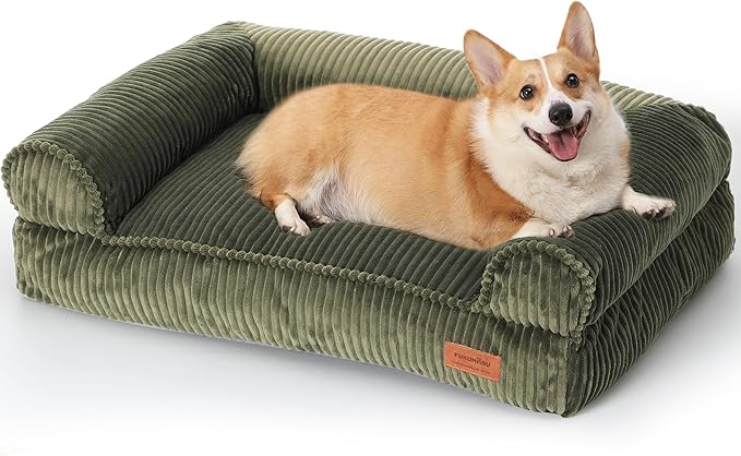 FUKUMARU Cute Dog Bed, Fluffy Dogs Couch with TPU Layer Keeping Lining Dry, Pet Sofa Medium Size Dog Easy to Care, Warm Cat Bed with Removable Zipper Cover, 36inch, Large, Green-Mewly Pet