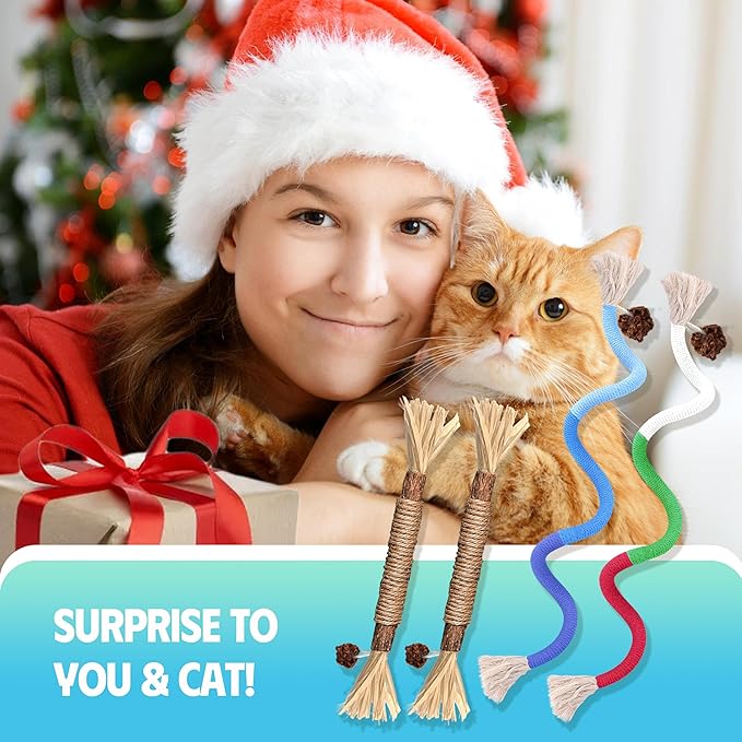 Cat Toys Chew Rope & Silvervine Sticks for Bored Indoor Adult Cats, 2Pcs Interactive Catnip Toys for Cats with Refillable Natural Catnip Bag for Teeth Cleaning-Mewly Pet