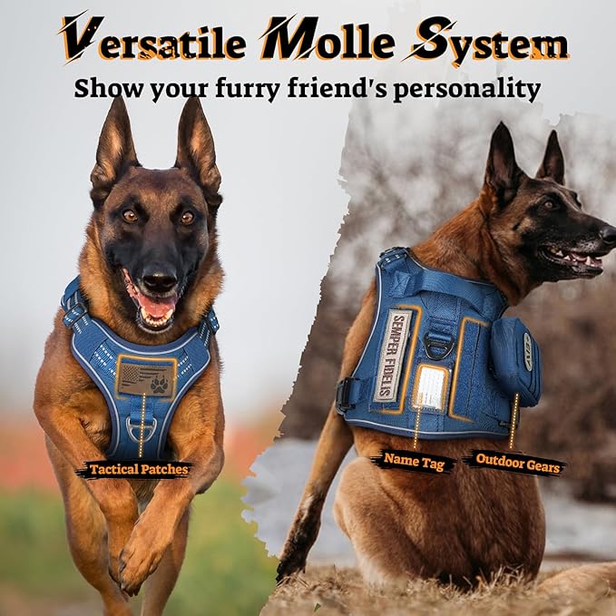 rabbitgoo Dog Harness for Large Dogs No Pull, Tactical Service Pet Vest with Molle and Control Handle, Adjustable and Reflective Military Harness for Easy Walking and Training, Blue, XL-Mewly Pet