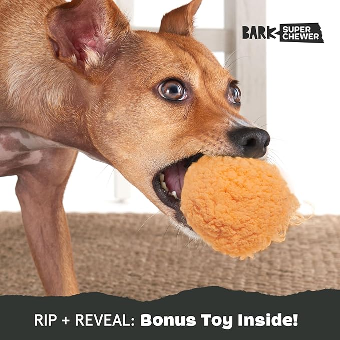 Barkbox Cheeze Brawl Super Chewer Plush Toy with Hard Core Center, Large-Mewly Pet