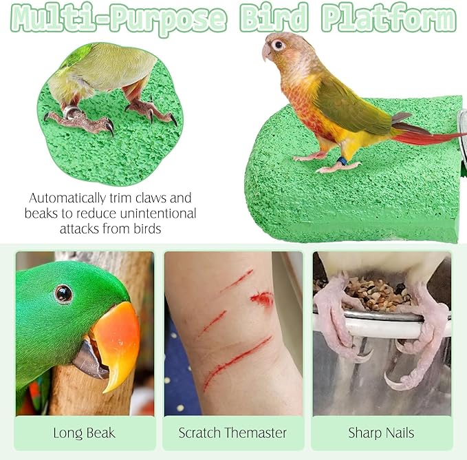 PINVNBY 5 Pack Bird Perch Resin Bird Beak Grinding Stone Parrot Cage Perch Stand Platform Foot Claws Trimmer Chew Toy Bird Cage Accessories for Budgie Cockatiel Conure Lovebird Finch (Green)-Mewly Pet