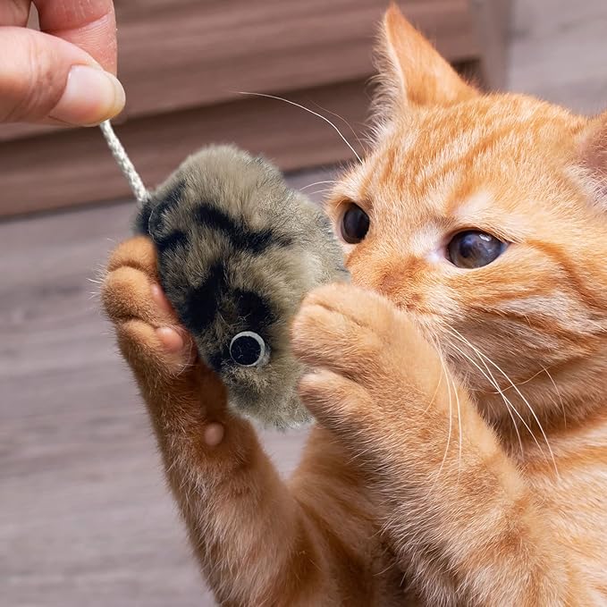 Cat Toys for Indoor Cats,Interactive Door Hanging Cat Toys Attached with Catnip/Feathers/Birds/Mouse Toys for Cats/Kitten Toys(3 Pack)-Mewly Pet