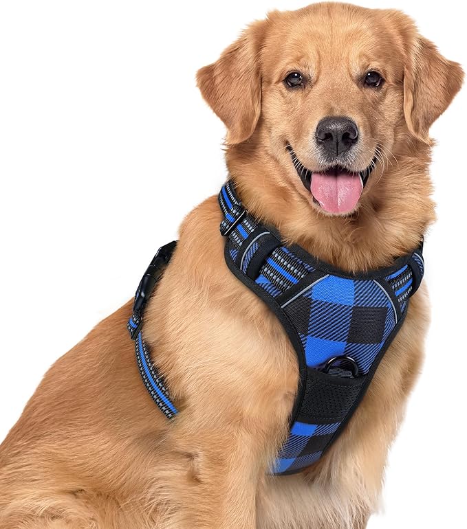 rabbitgoo Dog Harness No Pull with 2 Leash Clips, Adjustable Soft Padded, Reflective Oxford No Choke Pet Vest with Easy Control Handle for Large Dogs, Blue Plaid, XL-Mewly Pet