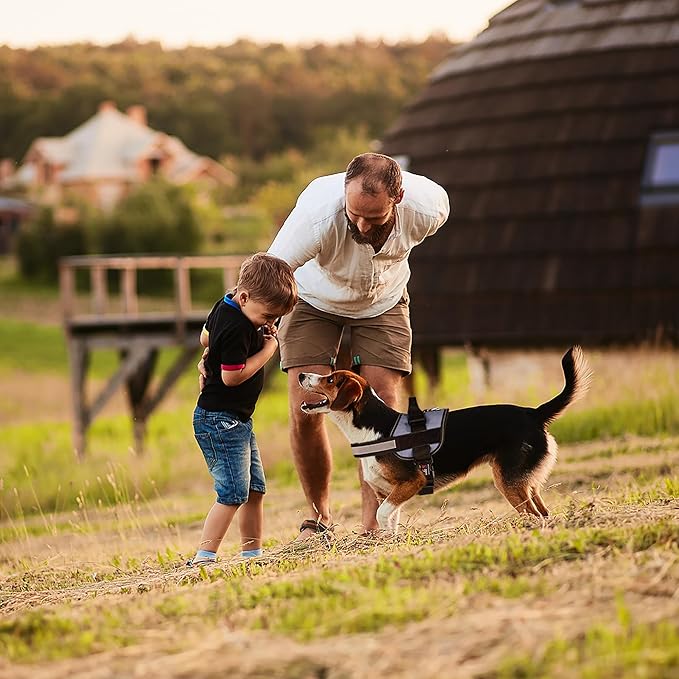 Dogline Dog Harness, Reflective No-Pull Adjustable Vest with Handle for Walking, Training, Breathable, No - Choke Harness for Small, Medium or Large Dogs Room for Patches Girth 15 to 18 in Grey-Mewly Pet