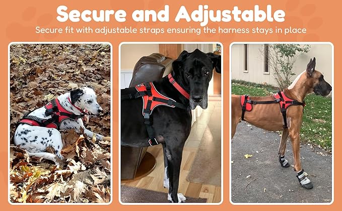 Doggie Stylz Multi-Functional Full-Body Lifting Dog Harness Vest, Designed for Front-Only, Rear-Only or Full-Body Lifting. Please Measure Your Dog Before Ordering.-Mewly Pet