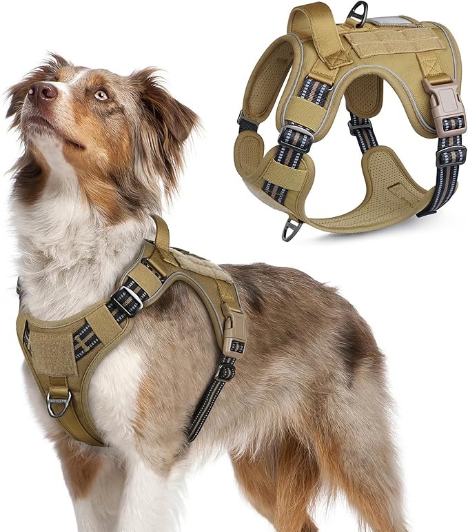 rabbitgoo Tactical Dog Harness Medium Sized Dog, No Pull Military Service Vest with Handle & Molle, Easy Control for Training Walking, Adjustable Reflective Straps, Brown, M-Mewly Pet