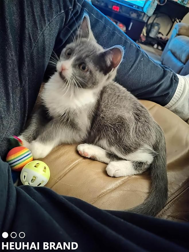 10-Pack Cat Toy Balls with Bell for All Cats, Playtime Paradise (1.5'' - 2.3'', Cat Toys Mega Set)-Mewly Pet