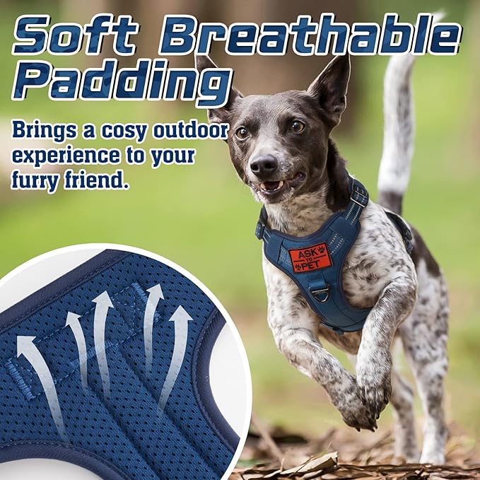 rabbitgoo Tactical Dog Harness for Large Dogs, No Pull Military Service Vest with Handle & Molle, Easy Control for Training Walking, Adjustable Reflective Straps, Blue, L-Mewly Pet