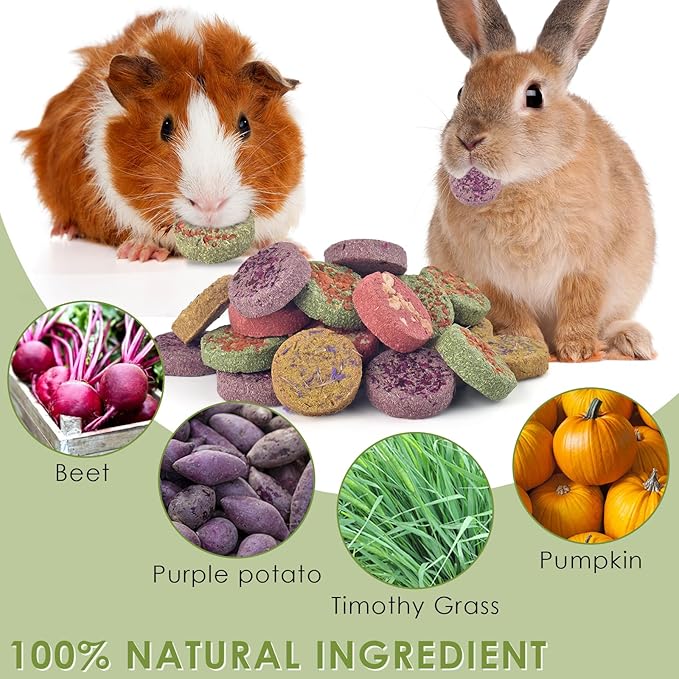 ERKOON 24Pcs Bunny Chew Toys, Small Animal Molar Toys Timothy Grass Beet Sweet Potato Pumpkin Cake Treats for Guinea Pig Hamster Bunny Chinchilla Gerbil, 100% Natural Rabbit Chews and Treats-Mewly Pet