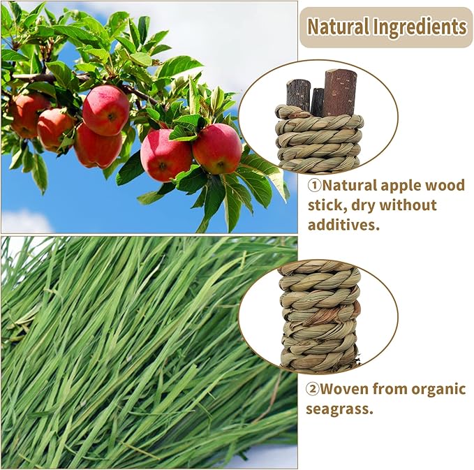 Fhiny 12 PCS Guinea Pigs Chew Toys, Natural Apple Branch Seagrass Molar Sticks for Teeth Bunny Chew Toys Cage Accessories for Guinea Pigs Rabbit Bunny Hamster Chinchilla-Mewly Pet