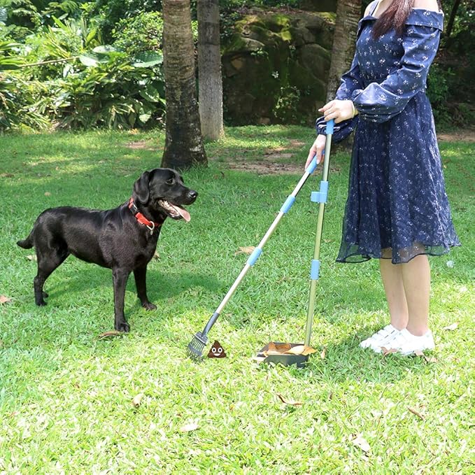 QiMH Upgraded Dog Pooper Scooper Extra Large, Adjustable Long Handle Stainless Metal Pet Poop Tray and Rake Set for Large Medium Small Dogs, Dog Waste Removal Bin Rake, Great for Grass, Street, Gravel-Mewly Pet