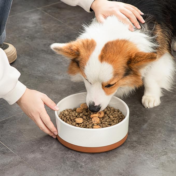 MALACASA Dog Bowls, Ceramic Dog Food and Water Bowls for Large Size Dogs, 6 Cups Capacity Pet Bowl for Large Dogs.1-Pack (L-6 Cups)-Mewly Pet