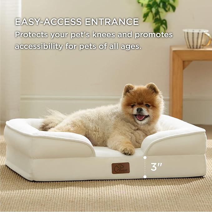 Bedsure Orthopedic Dog Beds for Small Dogs - Washable Small Dog Cat Bed Waterproof, Comfort Pet Couch Sofa with Washable Removable Cover, Pets Bed with Nonskid Bottom, Ivory, 24"-Mewly Pet