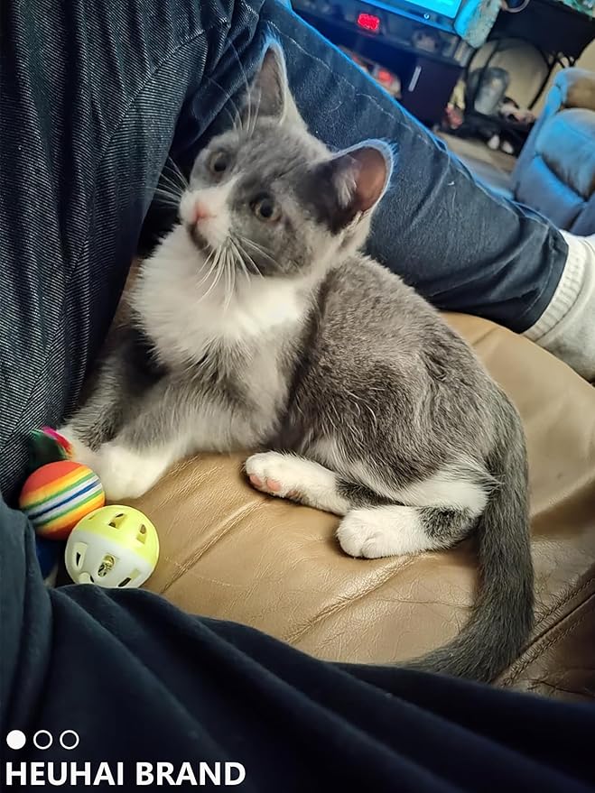 10-Pack Colorful Cat Toy Balls with Bells for Indoor Cats and Kittens (1.5'' - 2.3'', Cat Toys Mega Set)-Mewly Pet