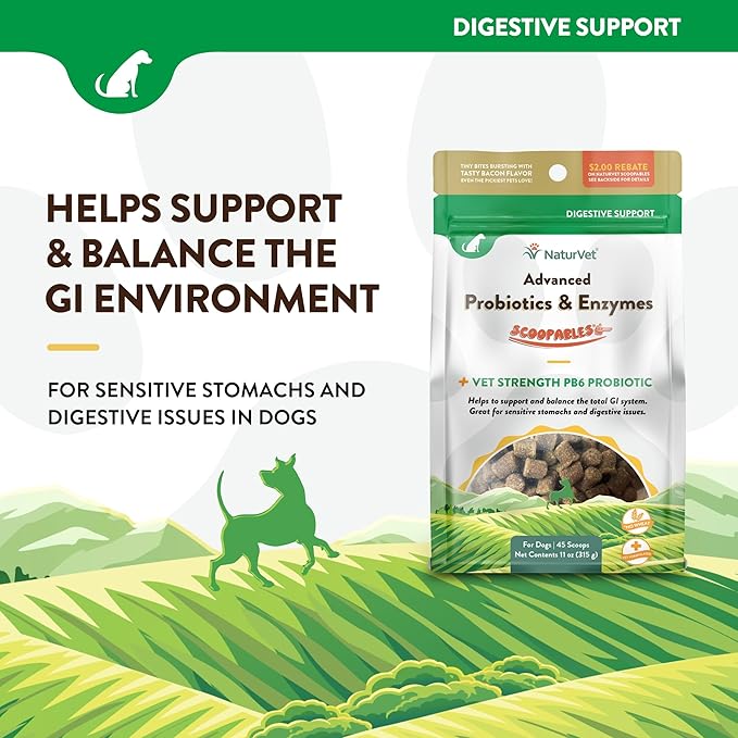 NaturVet Scoopables Advanced Probiotics for Dogs - Chewable Dog Probiotics & Digestive Enzymes - Support a Healthy Gut for Your Pet - Hickory Smoked Bacon Flavor | 11oz Bag-Mewly Pet