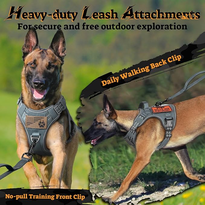 rabbitgoo Dog Harness for Large Dogs No Pull, Tactical Service Pet Vest with Molle and Control Handle, Adjustable and Reflective Military Harness for Easy Walking and Training, Grey, XL-Mewly Pet