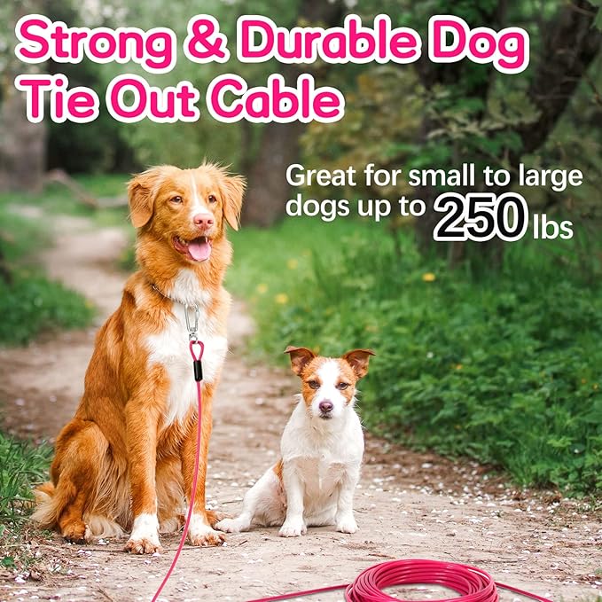 Tie Out Cable for Yards - Heavy Duty, Chew Proof, 10FT for Large Dogs Up to 250lbs-Mewly Pet