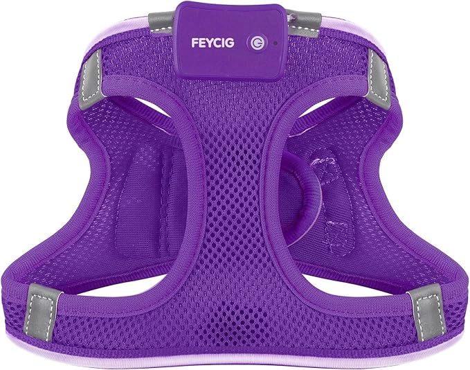 Light Up Dog Harness,Rechargeable LED Dog Harness for Small Medium Large Dogs,Reflective Lighted Safety Vest for Night Walking & Camping,Lightweight & Adjustable,Purple,S-Mewly Pet