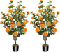 2 Pack 43.3"/3.6FT Artificial Tree with Camellia Flowers Fake Tree with 32 Blooming Flowers Orange Tree for Spring Home Front Door Outdoor Indoor Decor (Including Dried Moss)