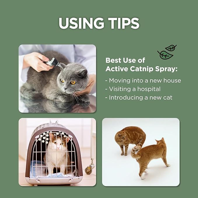 JAYU PET Active Catnip Spray - High Potency Transparent Liquid Spray made of Fresh Organic Catnip for Indoor Cats and Kittens, Relieves Stress, Calming, Revives Toys (1fl oz) (Catnip Spray, 1fl oz)-Mewly Pet