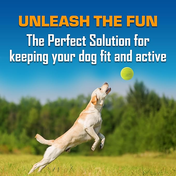 Nerf Dog Classic Squeak Ball Outdoor Dog Toys, 3.8 Inch Dog Ball Fetch Toy, Squeaking Toy for Medium and Large Breeds, Green/Red, 2 Count-Mewly Pet