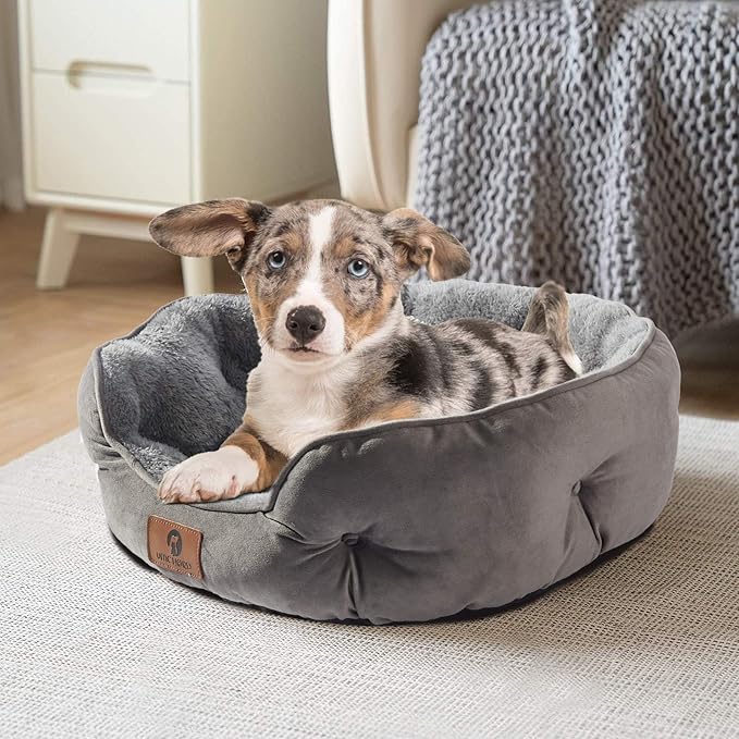 Asvin Small Dog Bed for Small Dogs, Cat Beds for Indoor Cats, Pet Bed for Puppy and Kitty, Extra Soft & Machine Washable with Anti-Slip & Water-Resistant Oxford Bottom, Grey, 20 inches-Mewly Pet