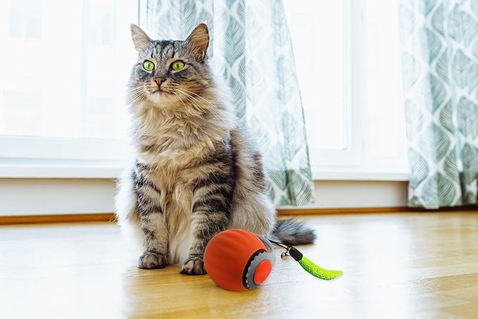 Smart Speedy 3.0 Interactive Cat Ball with Auto Obstacle Avoidance - Indoor Kitten Toy for Mental Stimulation & Playtime Fun ，2025 Edition (Orange)-Mewly Pet