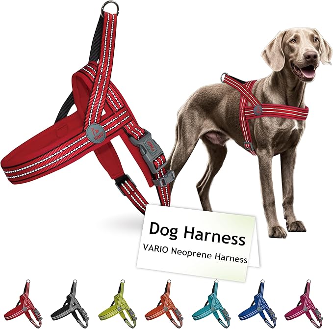 DOCO No-Pull Dog Harness Halter Reflective Easy-Control Harness for Training, Walking, and Preventing Pulling, Ideal for Medium Dogs(Red)-Mewly Pet