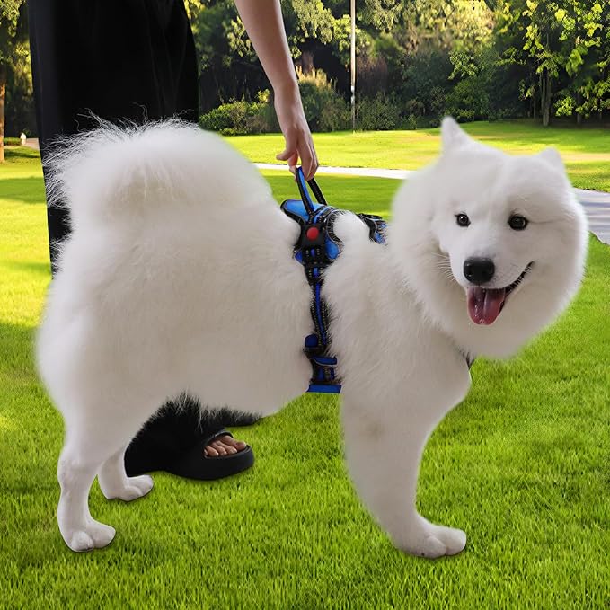 Dog Harness, Adjustable Reflective Dog Vest No Pull Dog Harness with Badge and Bow Tie for Puppy Small Medium Large Dogs-Mewly Pet