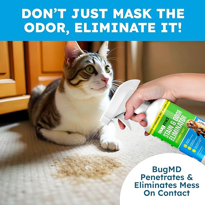 BugMD Enzyme Cleaner for Dog & Cat Urine | Pet Stain and Odor Remover for Carpet & Home | Unscented Urine Destroyer & Deodorizer-Mewly Pet