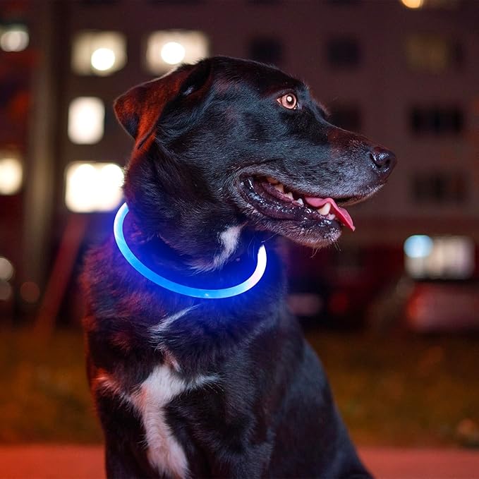 Light up Dog Collar, BSEEN USB Rechargeable Flash Dog Necklace Light, Pet Safety Collar Makes Your Beloved Dogs Be Seen at Night for Small Medium Large Dogs(Blue)-Mewly Pet