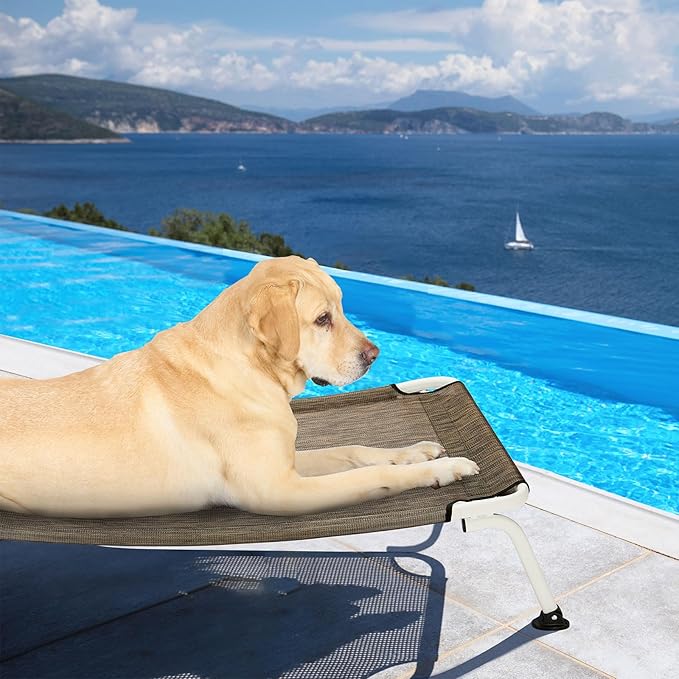 Veehoo Elevated Dog Bed for Outdoor, Cooling Waterproof Raised Dog Cots Beds for Large Dogs, Curved Off Ground Pet Hammock Cot Lifted for Outside, up to 85lbs, White Legs, Brown 42"-Mewly Pet